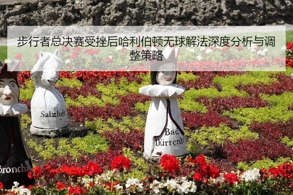 步行者总决赛受挫后哈利伯顿无球解法深度分析与调整策略