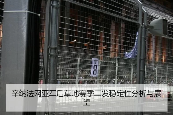 辛纳法网亚军后草地赛季二发稳定性分析与展望